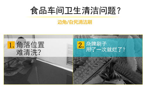 食品廠用清潔工具5020洗地刷 提升清潔效率與衛(wèi)生標(biāo)準(zhǔn)的關(guān)鍵選擇